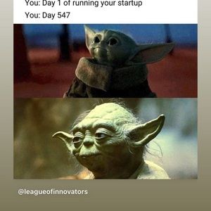 Meet your Posher, Anne